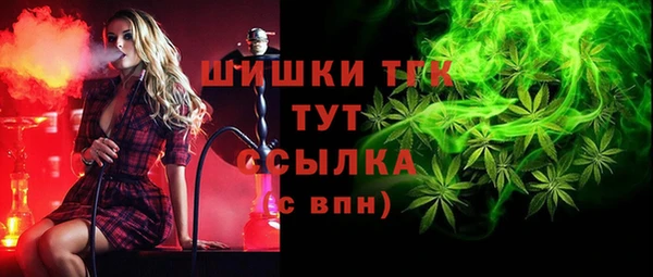 тгк Алзамай